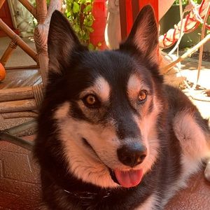 Meet your Posher, Ruth